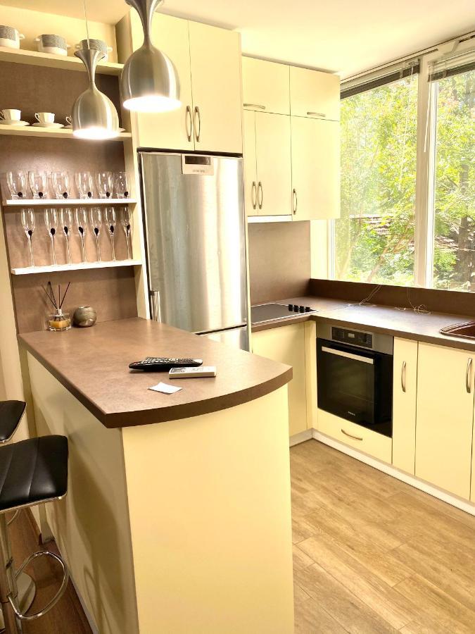 Central Apartment Plovdiv Bagian luar foto